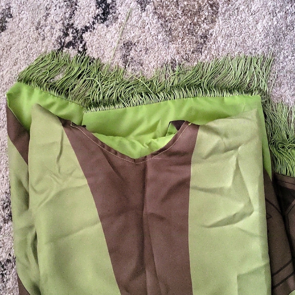 Encanto Disney costume